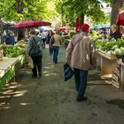 Market with vegetable stalls